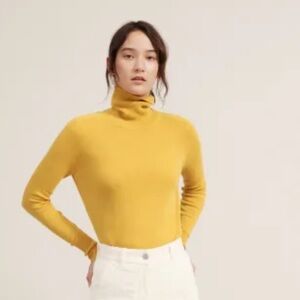 Everlane Cashmere Turtleneck